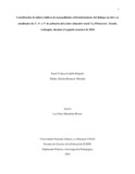 Skbetancurm.pdf.jpg
