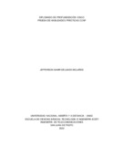 jsdelgadob.pdf.jpg