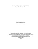 dpgalvizg.pdf.jpg