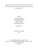 dpuler.pdf.jpg