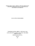 1071162847.pdf.jpg