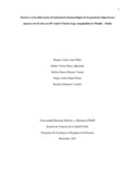 eprojasc.pdf.jpg