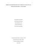 embaenaa.pdf.jpg