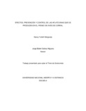 nmelgarejol.pdf.jpg