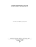 irsaldarriagac.pdf.jpg