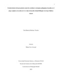 ymmartinezt.pdf.jpg