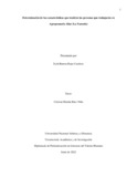 Ejrojasca.pdf.jpg