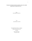 cecedenos.pdf.jpg