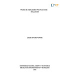 japorrasq.pdf.jpg