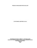 mvictorm.pdf.jpg