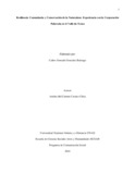 Articulo.pdf.jpg