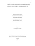 bdfonsecab.pdf.jpg