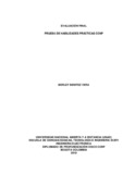 bbenitezv.pdf.jpg
