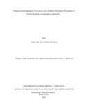jlfernandezo.pdf.jpg
