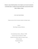 casalcedoma.pdf.jpg
