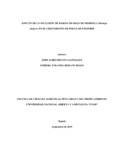 nyrobayor.pdf.jpg