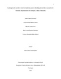 rlramirezr.pdf.jpg