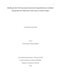 Liarendsm.pdf.jpg