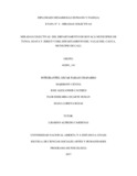 24081713 .pdf.jpg