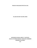 wgnavarroc.pdf.jpg
