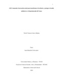 LOEmazoniainnovacionsocialparatransformarelterritorioyprotegerelmedioambienteeneldepartamentodelCauca.pdf.jpg