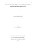 ccrubioo.pdf.jpg