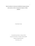 grojasca (1).pdf.jpg