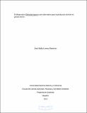 11795460.pdf.jpg