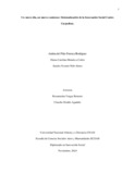 UnnuevodiannuevoComienzo_SistematizaciondelainnovacionSocialCentroCarpediem.pdf.jpg