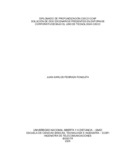 jpedrazap.pdf.jpg