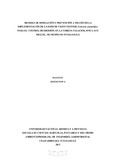 39615679.pdf.jpg