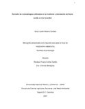 glmorenoc.pdf.jpg