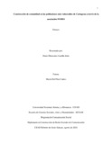 dmcastilloju.pdf.jpg