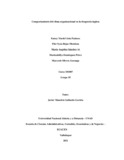 msilverag.pdf.jpg