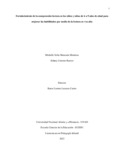 msmoncadam.pdf.jpg