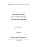1061686160.pdf.jpg