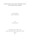 ayrodriguezd.pdf.jpg