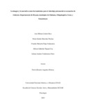 amcordonr.pdf.jpg