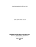 zgonzalezpa.pdf.jpg