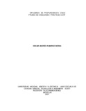 oaramirezs.pdf.jpg