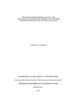 rsilvach.pdf.jpg