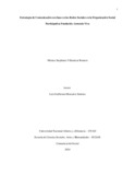 msvillamizarr.pdf.jpg