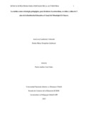 DHEstupinanQ.pdf.jpg