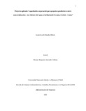 llsanchezbr.pdf.jpg