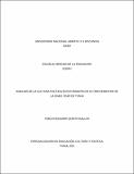 4080735.pdf.jpg