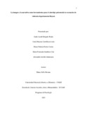 cdcastellanosl.pdf.jpg