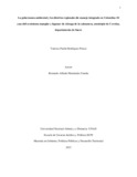 vprodriguezp.pdf.jpg