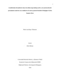 Plrojasv.pdf.jpg