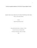 jarbelaeza.pdf.jpg