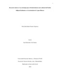 drfuentese.pdf.jpg